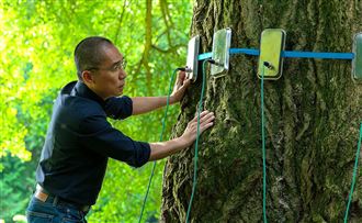 梁朝偉閃電抵台　14日國賓影城會影迷
