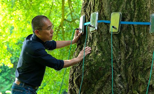 梁朝偉閃電抵台　14日國賓影城會影迷