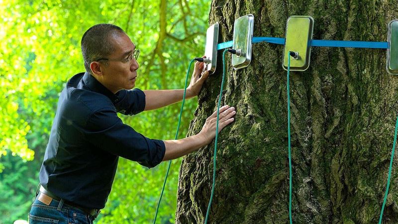 梁朝偉助銀杏樹「性體驗」 全靠她親指導