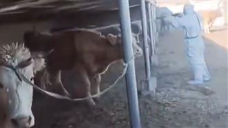 中國真實煉獄曝光全嚇壞！官方急封殺