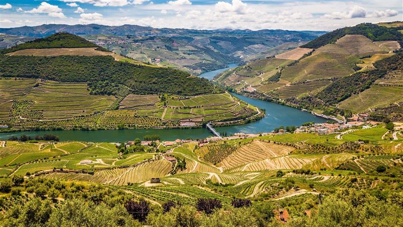 去年出國人次歷史新高 雄獅揭四成長引擎