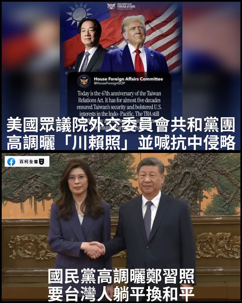 「百柯全書」說，講白一點：你在那邊為了一張握手照高潮，人家在國際舞台上已經用制度、法律、軍事與外交實力在撐台灣。（圖／翻攝自百柯全書）