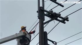  電桿變築巢熱點 巢內含金屬絲成斷電元凶