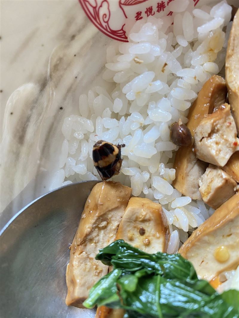 民眾前往君悅排骨用餐，在碗中發現蟑螂頭。（圖／翻攝自爆料公社公開版）
