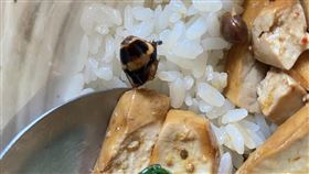 民眾前往君悅排骨用餐，在碗中發現蟑螂頭。（圖／翻攝自爆料公社公開版）