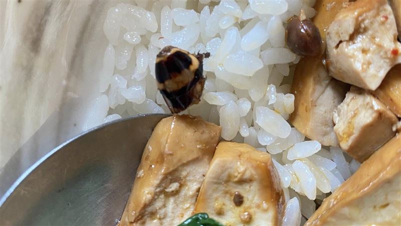 連鎖排骨飯吃到「蟑螂頭」　店家冷回一句
