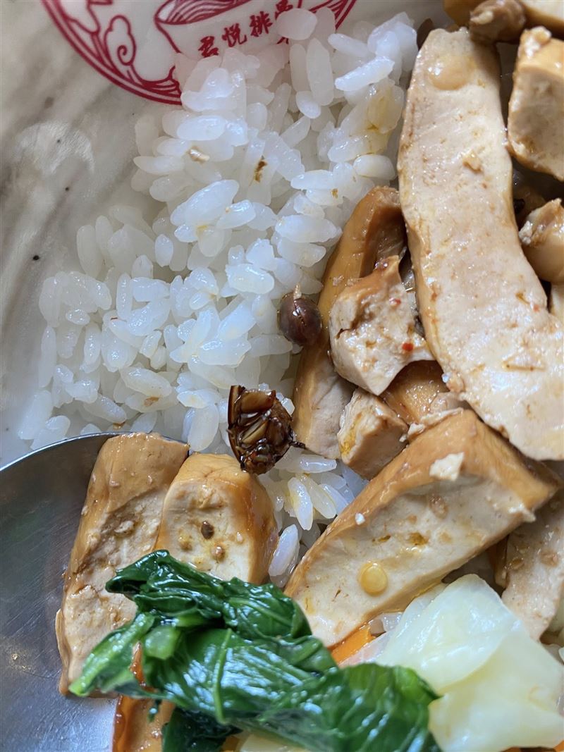 君悅排骨出現蟑螂,今日暫停營業清消。(圖/爆料公社公開版)