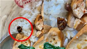 君悅排骨出現蟑螂，今日暫停營業清消，北市衛生局也將前往稽查。（圖／爆料公社公開版）