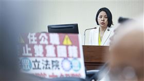 李貞秀再度上演質詢獨白秀　綠委舉牌抗議（2）民眾黨立委李貞秀（圖）9日在立法院內政委員會質詢，內政部長劉世芳等官員僅有上台但不回應，民進黨立委在台下擺放寫有「任公職禁止雙重國籍」的字卡表達立場。中央社記者鄭清元攝　115年4月9日