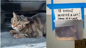 美國紐約有一隻虎斑貓因飼主過世變成流浪貓，整棟大樓的住戶紛紛伸出援手，照顧這隻貓咪。（圖／翻攝自Instagram／bigapplecatrescue）