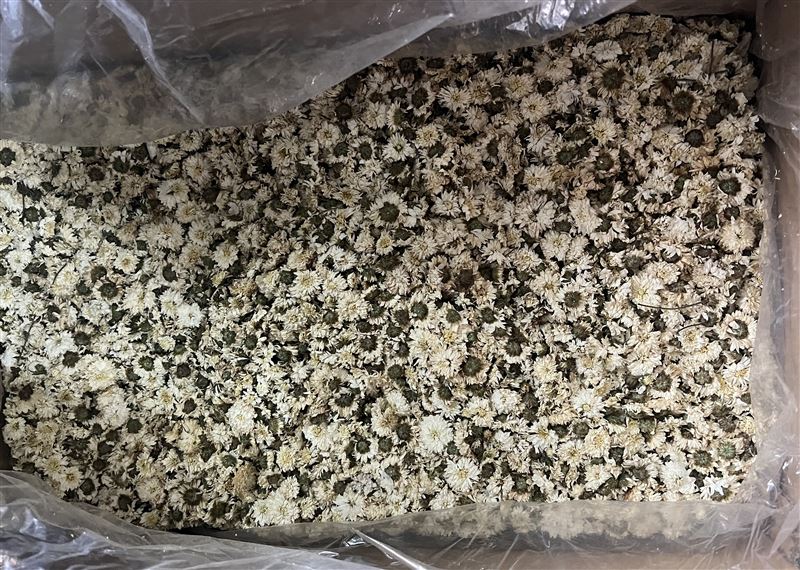 東泉有限公司自中國進口的菊花，檢出亞滅培等8種農藥殘留超標。（圖／食藥署提供）