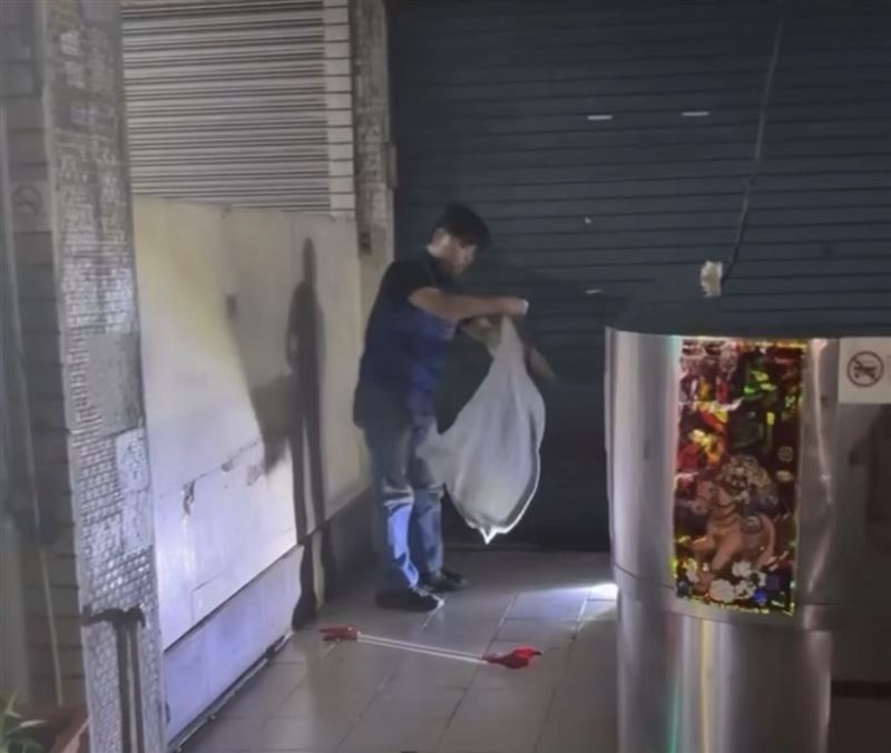 捕蛇人順利抓捕闖禍的眼鏡蛇。（圖／翻攝畫面）