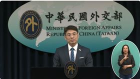 外交部發言人蕭光偉。（圖／翻攝畫面）
