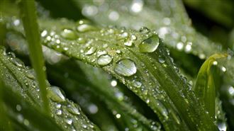 穀雨4生肖防血光之災　7禁忌、招財法曝