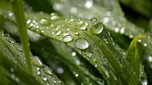 穀雨7禁忌、招財法曝　3生肖運勢翻紅超旺