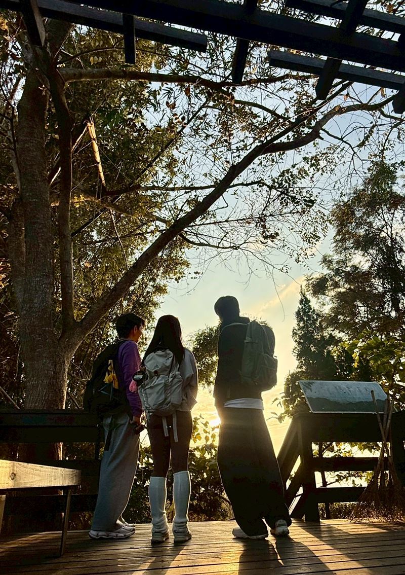 透過農村再生計畫，將廢棄小徑轉化為充滿芬多精的生態步道，象徵著自然與社區的共生 。（圖／三立永續基金會提供）