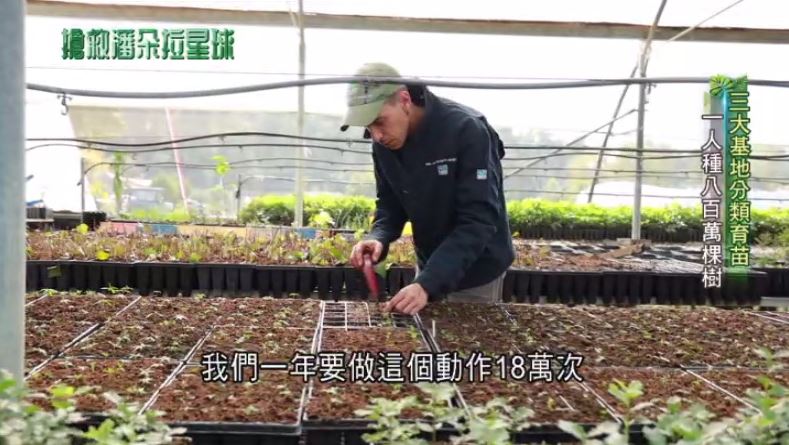 搶救潘朵拉星球－從培養幼苗，到種出一大片「人造森林」，真正讓沙漠變綠洲！（圖／三立永續辦公室提供）