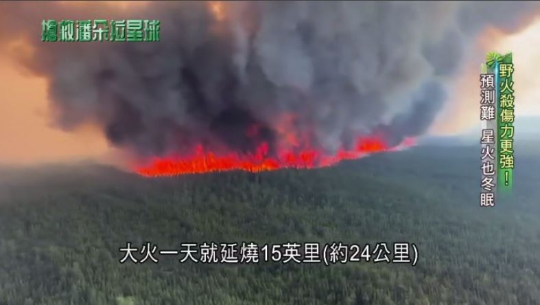 搶救潘朵拉星球－全球森林之死！氣候暖化讓林木倒下變荒漠。（圖／三立永續辦公室提供）