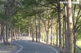 潭雅神綠園道(示意圖/GOOGLE MAP)