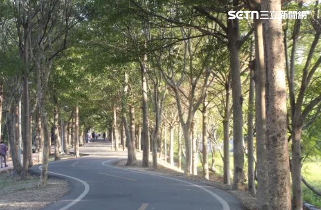 台中潭雅神綠園道 轎車飄惡臭驚見1女屍