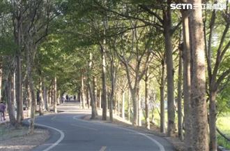 台中潭雅神綠園道　轎車飄惡臭驚見1女屍