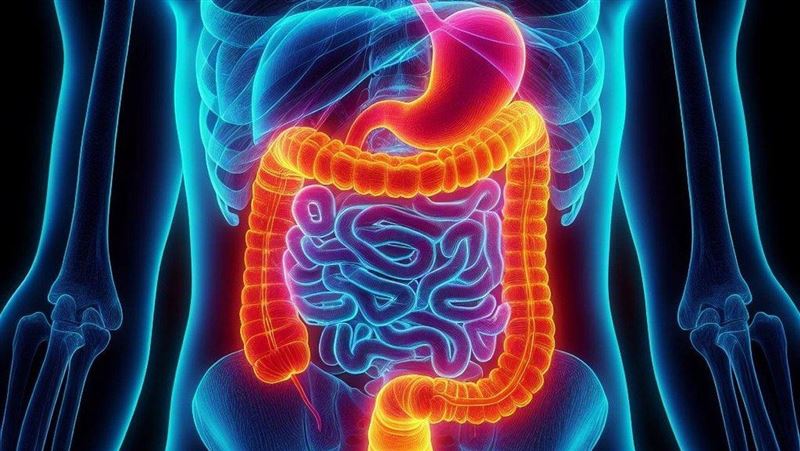 不只肉 腸癌隱形推手藏嘴巴 熬夜恐害罹癌