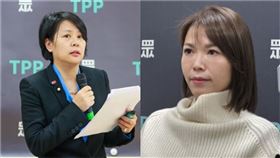 李貞秀、陳智菡。（圖／民眾黨團提供、資料照）