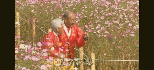 趙炳萬爺爺（右）與姜溪烈奶奶（左）一輩子堅貞的愛情令人動容落淚。（圖／翻攝自韓網）