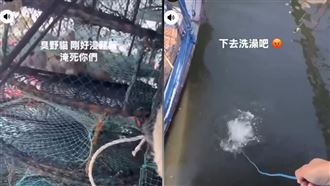 浪貓便溺！漁民「浸豬籠」扔海下場慘