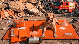 2026金點新秀設計獎　637件作品挺進決審