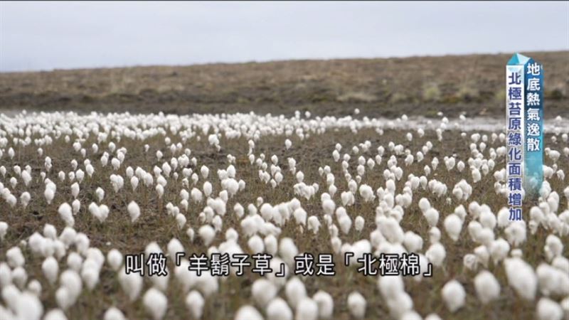 《消失的國界》團隊進入北極圈，來到人類在地球上居住的最北端：透過第一手資料的收集，拼湊出氣候變遷的真實樣貌，以及它帶來的改變。（圖／三立永續辦公室提供）