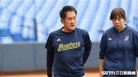 中職37年例行賽，中信兄弟總教練平野惠一。（圖／記者劉彥池攝影）