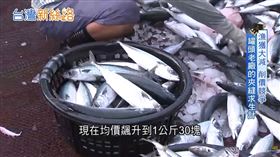 老招牌轉型–老罐頭守護海洋　年輕接班人打敗海鮮寒冬救回老招牌！（圖／三立永續辦公室提供） 