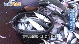 罐頭老品牌復活！年輕接班人打敗海鮮寒冬