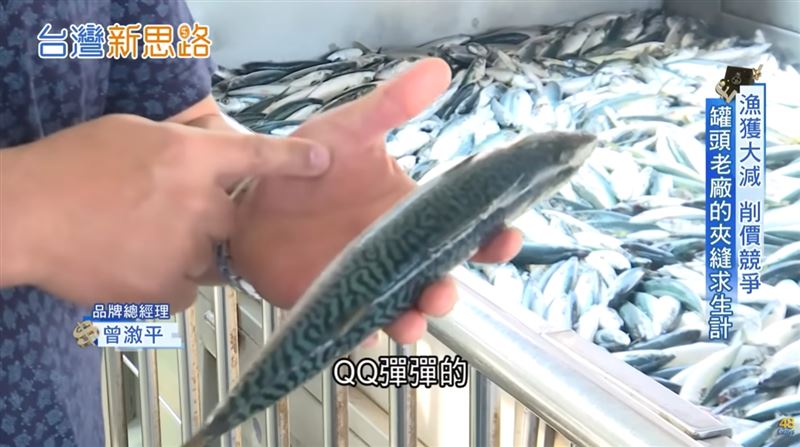 透過一家傳承百年的台灣前三大罐頭廠的轉型故事，我們看到了傳統產業如何在夾縫中求生！（圖／三立永續辦公室提供）