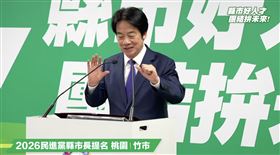 賴清德出席民進黨桃園市長、新竹市長提名記者會，上台致詞調整麥克風時突被電到（圖／翻攝畫面）