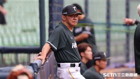 中職37年例行賽，台鋼雄鷹春訓客座教練林仲秋。（圖／記者劉彥池攝影）