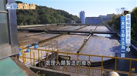 廢水處理變電廠–廢水變綠能　年輕團隊靠「厭氧菌」把垃圾變黃金！（圖／三立永續辦公室提供） 