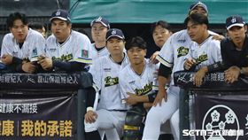 中職37年例行賽，中信兄弟游擊手江坤宇在休息區觀戰。（圖／記者劉彥池攝影）