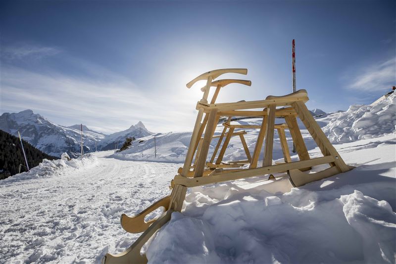 Velogemel 雪地自行車。（圖／格林德瓦旅遊局提供）