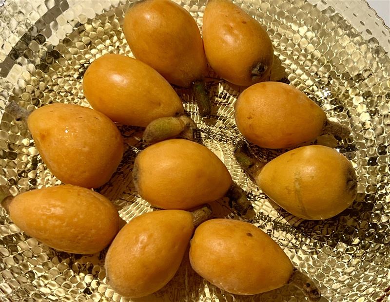 醫師李柏賢表示，枇杷不只好吃，也是相當溫和的水果。(圖／取自李柏賢的臉書)