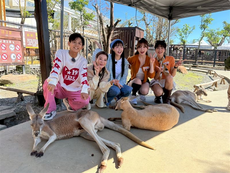 阿翔(左起)、楊繡惠、籃籃、金娜妍、宜芳同台。(圖/民視提供)