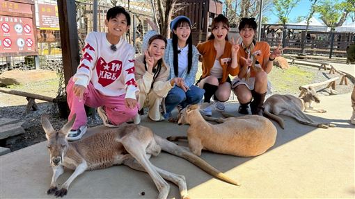 錄到一半失控　啦啦隊女神激戰男星全被拍