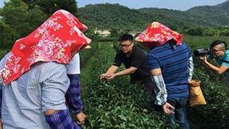 靠一杯茶一顆桂圓 台2休閒農場奪世界大獎