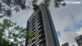 李晶晶現身新竹豪宅名發天琚。(圖/記者陳韋帆攝影)