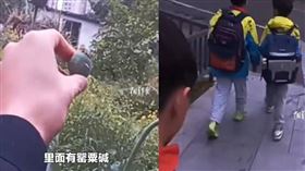 國小生路邊認出罌粟！報警帶路掃毒　網驚
