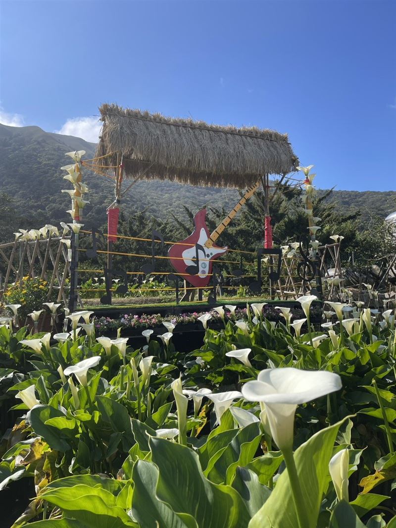 把握最後二週海芋盛開花期，相遇純潔浪漫美景。（圖／臺北市政府提供）