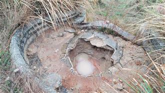 彰化20歲男自學盜墓　飛金門挖到手軟被逮