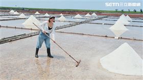 產官合作推動綠色觀光，「6人小團」深度探索濕地生態與百年鹽田文化。（圖／翻攝畫面）