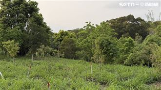 新／台中秘境驚見女屍！林務人員巡山嚇壞